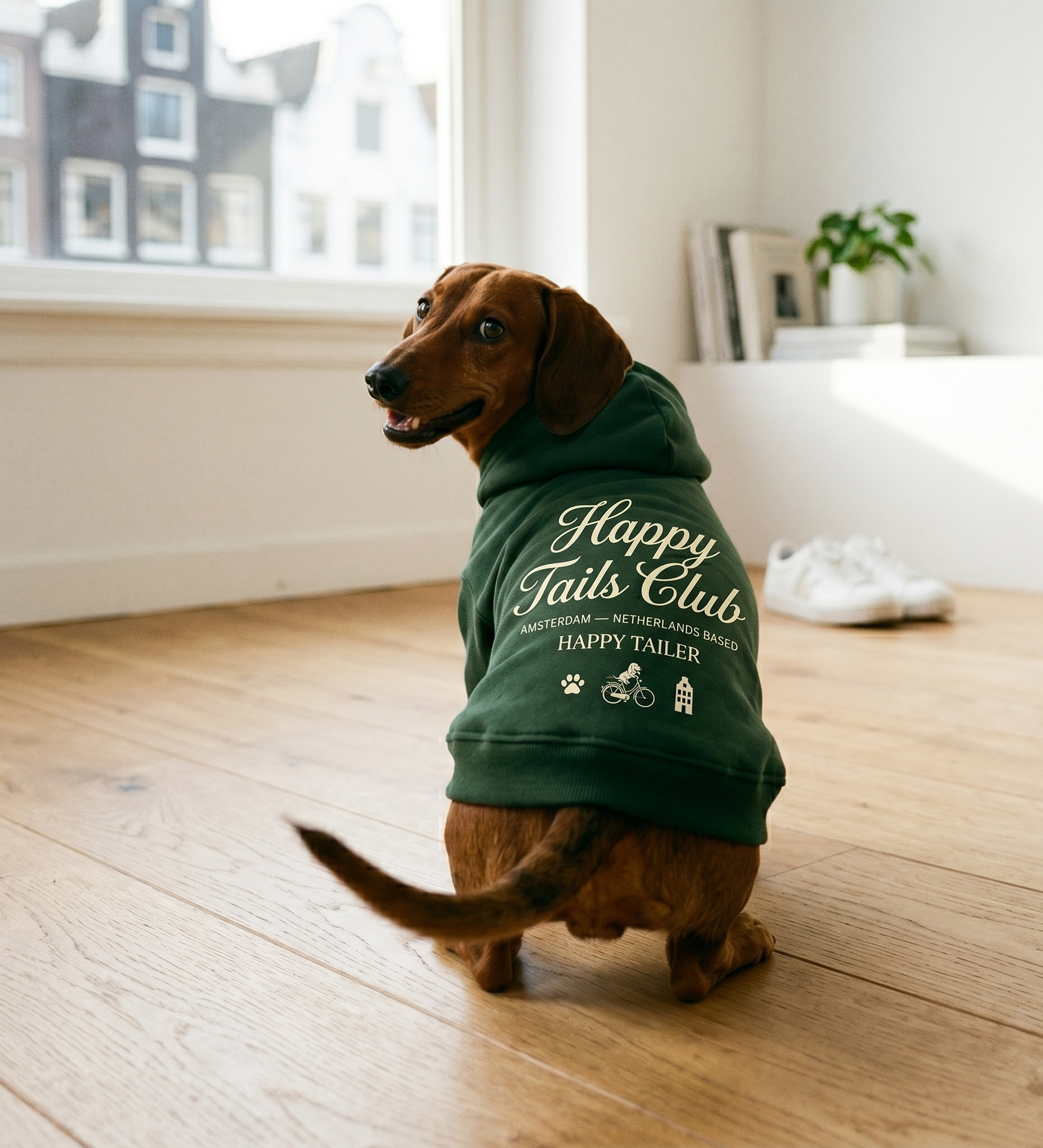 The Dog Hoodie